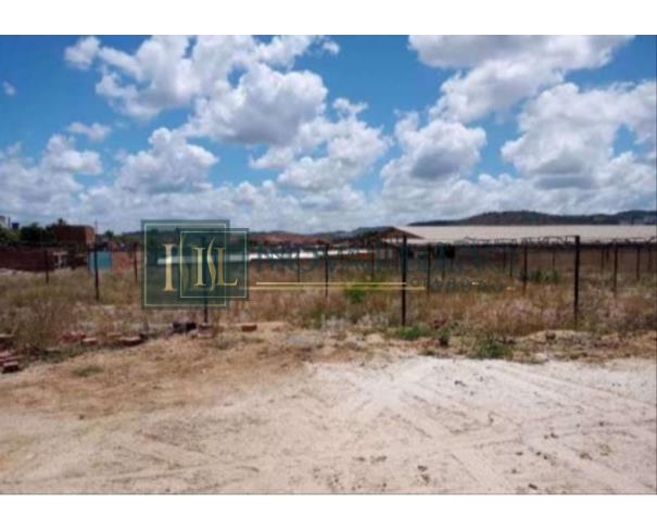 Foto de Terreno c/ 1.0ha c/Benfeit, em Vitória de Stº Antão