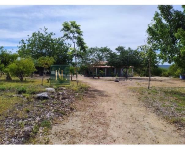 Foto de Sertânia/PE - Imóvel rural com 76,37 ha, com duas casas, cercado, com aprisco para caprinos, com poço e irrigação. Imovel denominado Umburanas, encravado na propriedade Itapicuru