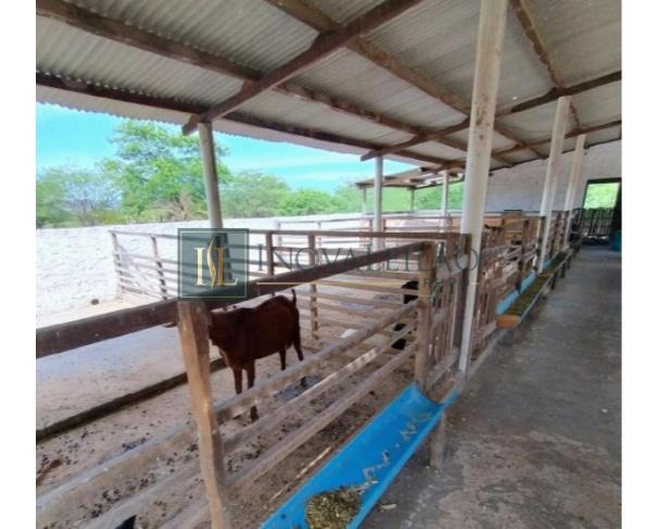 Foto de Sertânia/PE - Imóvel rural com 76,37 ha, com duas casas, cercado, com aprisco para caprinos, com poço e irrigação. Imovel denominado Umburanas, encravado na propriedade Itapicuru