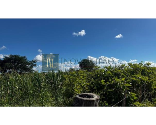 Foto de Parte de Terra, c/ 30ha, na Fazenda Piranhas- Stª Cruz / PE 