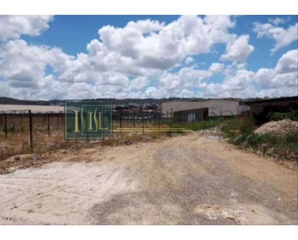 Foto de Terreno c/ 1.0ha c/Benfeit, em Vitória de Stº Antão