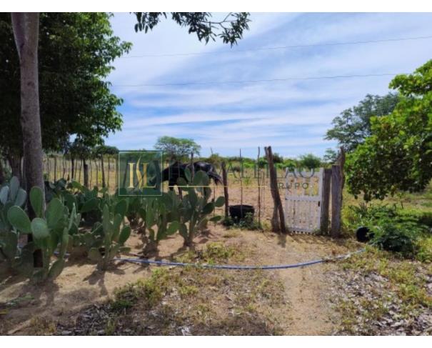 Foto de Sertânia/PE - Imóvel rural com 76,37 ha, com duas casas, cercado, com aprisco para caprinos, com poço e irrigação. Imovel denominado Umburanas, encravado na propriedade Itapicuru