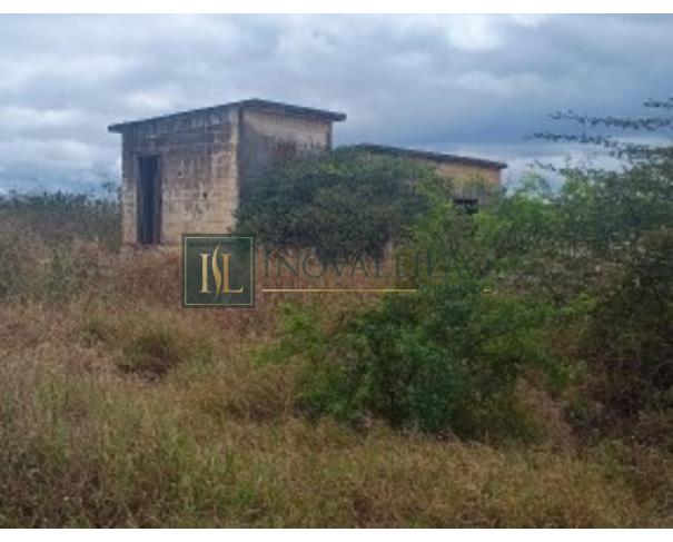 Foto de Araripina/PE - Área com 18ha no Sítio Alagoinha na Fazenda São Gonçalo, localizada à margem direita da Rodovia BR-316