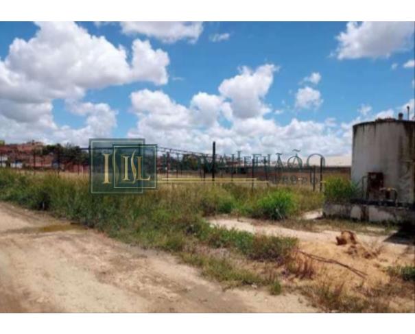 Foto de Terreno c/ 1.0ha c/Benfeit, em Vitória de Stº Antão