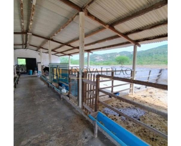 Foto de Sertânia/PE - Imóvel rural com 76,37 ha, com duas casas, cercado, com aprisco para caprinos, com poço e irrigação. Imovel denominado Umburanas, encravado na propriedade Itapicuru