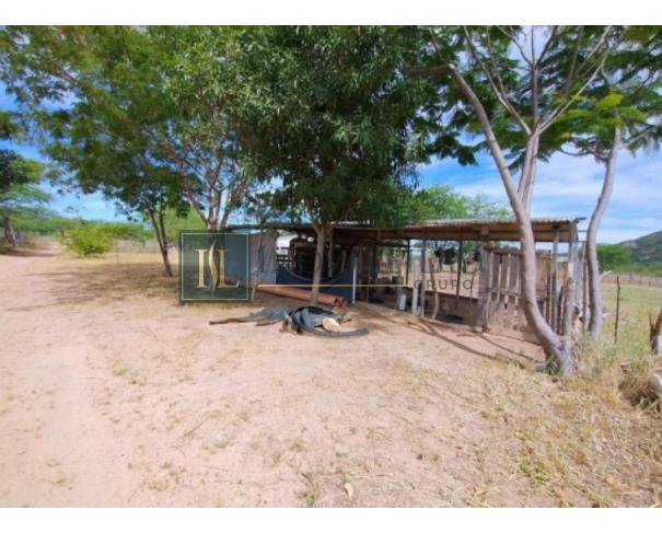 Foto de Sertânia/PE - Imóvel rural com 76,37 ha, com duas casas, cercado, com aprisco para caprinos, com poço e irrigação. Imovel denominado Umburanas, encravado na propriedade Itapicuru