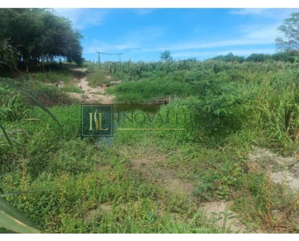 Foto de Sertânia/PE - Imóvel rural com 76,37 ha, com duas casas, cercado, com aprisco para caprinos, com poço e irrigação. Imovel denominado Umburanas, encravado na propriedade Itapicuru