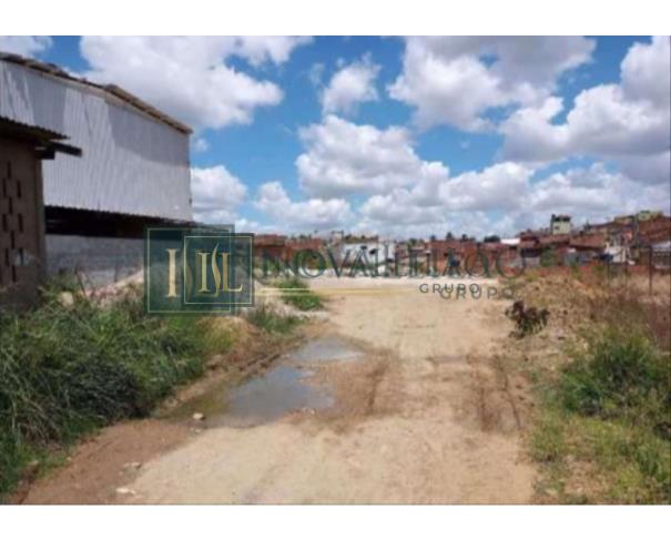 Foto de Terreno c/ 1.0ha c/Benfeit, em Vitória de Stº Antão