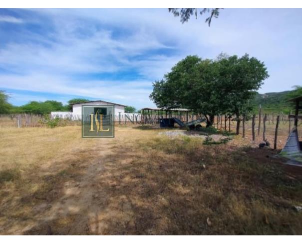 Foto de Sertânia/PE - Imóvel rural com 76,37 ha, com duas casas, cercado, com aprisco para caprinos, com poço e irrigação. Imovel denominado Umburanas, encravado na propriedade Itapicuru